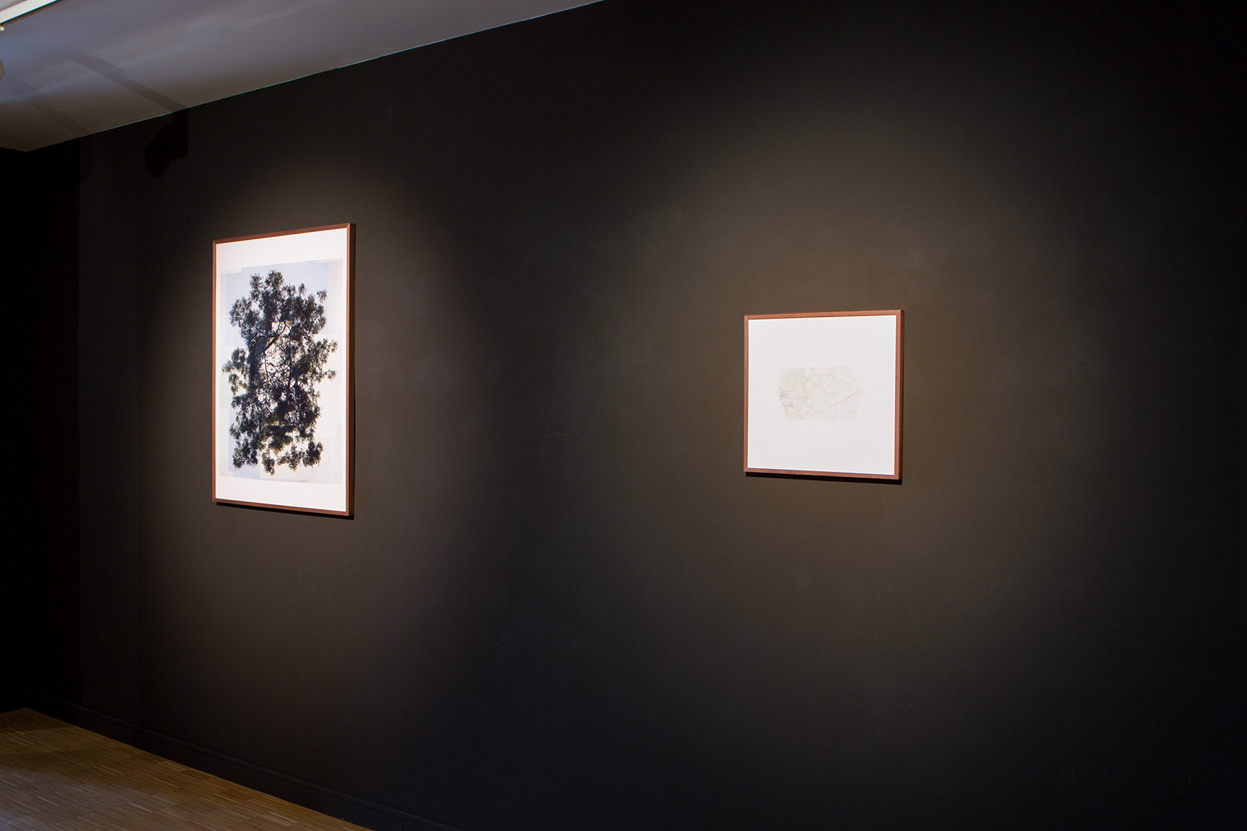 Exhibition view, Tie a Knot
