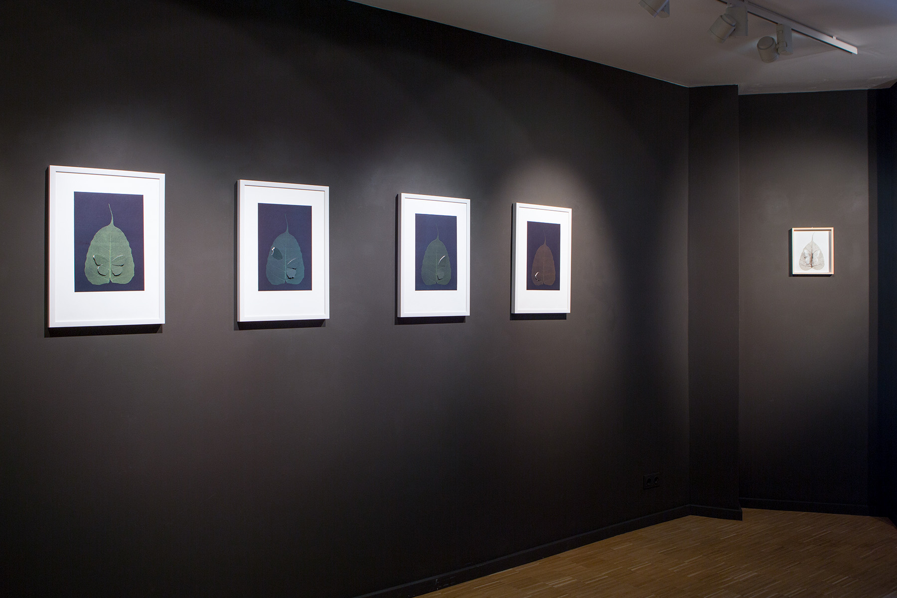 Exhibition view, Tie a Knot
